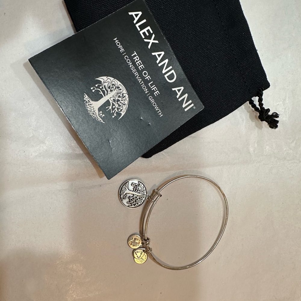 Alex and Ani Silver and Gold Charm Bracelet